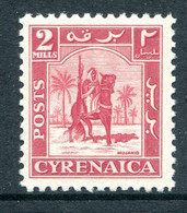 British Occ. Italian Colonies - Cyrenacia - 1950 Mounted Warrior - 2m Carmine LHM (SG 137) - Cirenaica