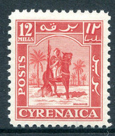 British Occ. Italian Colonies - Cyrenacia - 1950 Mounted Warrior - 12m Scarlet LHM (SG 143) - Cirenaica