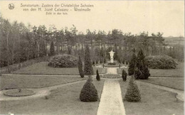 WESTMALLE - Sanatorium - Zicht In Den Tuin - Malle