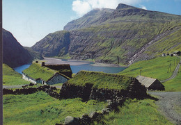 Faroe Islands PPC Duvugardur I Saksun TÓRSHAVN 1984 DRAGØR Denmark Fish Fisch - Islas Feroe