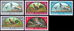 SHARJAH 1965 Birds Airmail Set Sc#C28-33 SHORT SET Missing 75np MNH @S4089 - Sharjah