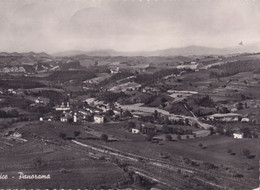 Alice - Alessandia - Panorama - Formato Grande Viaggiata Mancante Di Affrancatura – FE170 - Alessandria