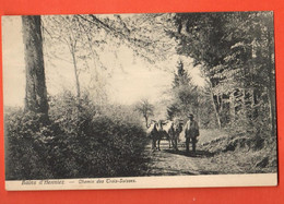 ZPO-18  Bains D'Henniez Chemin Des Trois-Suisses. Paysan Et Son Attelage De Boeufs. Circ. 1909 Trüb - Henniez