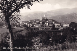 Spiano Monferrato - Panorama Da Levante - Formato Grande Non Viaggiata – FE170 - Alessandria