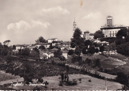 Tagliolo - Panorama - Formato Grande Viaggiata Mancante Di Affrancatura – FE170 - Alessandria