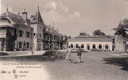 VAUD CELIGNY COPPET CHATEAU DE BOSSEY - Pas Voyagé - Coppet