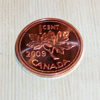 Canada 2009 - Xlarge 1 Dollar Cent Red Copper - 25gr - UNC - Collezioni