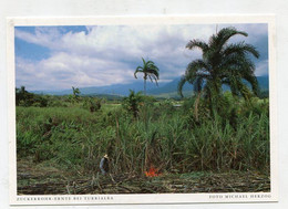 AK 054409 COSTA RICA - Zuckerrohrernte Bei Turrialba - Costa Rica
