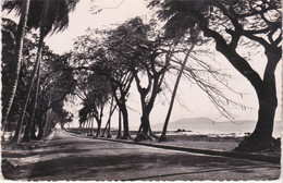 Guinéé Canakry La Corniche édition Carte Africainne Cliché Remond N°11 - Guinée Française