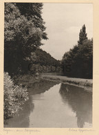 Germany - Siegen - Am Tiergarten - Photo Lucie Oppermann 130x175mm - Siegen