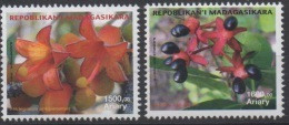 Madagascar Madagaskar 2014 / 2015 Mi. 2683/2684 Fleurs Flowers Blüten Hildegardia Ouratea Flore Flora MNH ** - Madagaskar (1960-...)