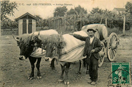 Les Pyrénées * Un Attelage De Boeufs Béarnais * Béarn * Type Personnage - Autres & Non Classés