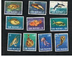 SAN MARINO - UNIF. 721.730  - 1966  FAUNA MARINA (SERIE COMPLETA DI 10)   -  USATI (USED°) - Gebruikt