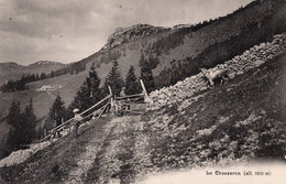 VAUD LE CHASSERON  - A. Deriaz Baulmes No 1030 - Voyagé Le 17.09.1909 - Baulmes