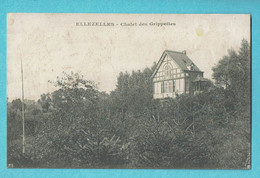 * Ellezelles (Hainaut - La Wallonie) * (Phototypie E. Desaix - Coll La Belgique Historique) Chalet Des Grippettes, Old - Ellezelles