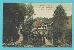 * Ronse - Renaix (Oost Vlaanderen) * (Edition Du Bazar Parisien) KLEUR, Vue Des Promenades, Chalet Du Brouck, Old - Renaix - Ronse