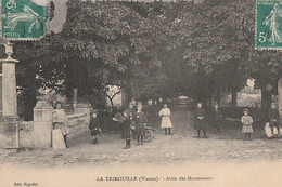 La TRIMOUILLE. - Allée Des Marronniers - La Trimouille