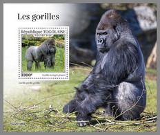TOGO 2022 MNH Gorillas Gorilles S/S No.2 - OFFICIAL ISSUE - DHQ2219 - Gorilla's