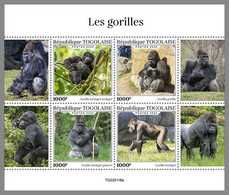 TOGO 2022 MNH Gorillas Gorilles M/S - IMPERFORATED - DHQ2219 - Gorilas