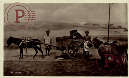 RPPC CARTE PHOTO  ADEN / YEMEN, ASIA   BURROS ANE DONKEY EZEL BURRO - Yémen