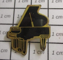 1718a Pin's Pins / Beau Et Rare / THEME : MUSIQUE / PIANO A QUEUE NOIR - Alimentation