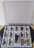 Boîte De 13 Inclusions D'insectes En Résine Editions Fabbri - Autres & Non Classés