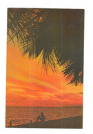 ETATS UNIS - FLORIDA Sunsets Make A Breathtaking Sight - WAL/BX22 - - Other