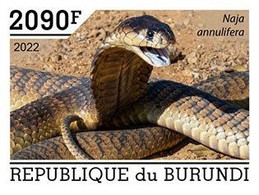 Burundi 2022, Animals, Snake V, 1val IMPERFORATED - Nuovi