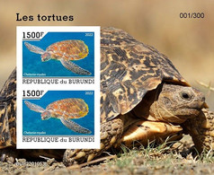 Burundi 2022, Animals, Turtle III, Block IMPERFORATED - Ongebruikt