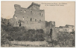 CPA 84 Châteauneuf Du Pape Le Château Et Les Remparts (Côté Ouest) - Chateauneuf Du Pape