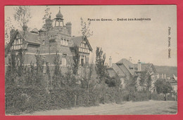 Genval (Parc ) - Drève Des Aubépines -1909 ( Voir Verso ) - Rixensart