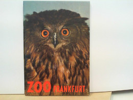 Zoo Frankfurt - Animales