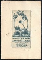 Strebenz Károly Ex Libris, Rézkarc, Papír, Jelzett 5x10 Cm - Other & Unclassified