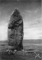 BRA-22-T-PL : 3553 : QUIBERON. COTE SAUVAGE. MENHIR - Dolmen & Menhirs