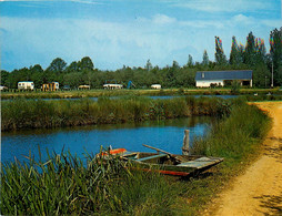 Le Gavre * Vue Sur Le Camping Et L'étang - Le Gavre