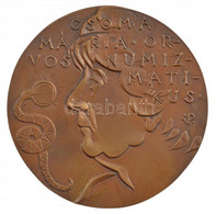 Palotás József (1947- ) DN "Csoma Mária Orvos Numizmatikus" Egyoldalas, öntött Bronz (98mm) T:1- - Unclassified