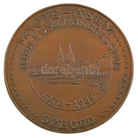 Stanzel Antal (1938-1998) 1988. "MAOTE - ASEM Jubileumi Kongresszus - Szeged - 1978-1988" Egyoldalas, öntött Bronz Plake - Unclassified