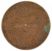 Tóth Sándor (1933- ) 1973. "Ivánovics Professzornak Tanítványai Munkatársai" Egyoldalas, öntött Bronz Emlékérem (113mm)  - Unclassified