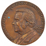 Tóth Sándor (1933-) 1993. "Ábrahám Ambrus Neurobiológus - Tusnád 1893 - Szeged 1989" Egyoldalas, öntött Bronz Plakett (~ - Unclassified