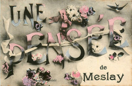 Meslay * Une Pensée De La Commune * Souvenir - Meslay Du Maine