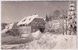 Todtnauberg - Café - Pension Waldblick - Todtnau