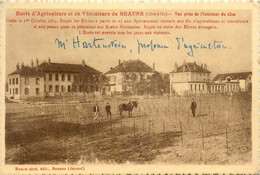 Beaune * école D'agriculture Et De Viticulture * Vue Prise De L'intérieur Du Clos * Viticole Vin - Beaune