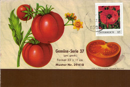 Tomaten Mohn-Blume Bürs 2022 - Rot Rottöne - Lettres & Documents