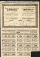 Plantations De Caoutchouc De Djember - Action De Dividende 1925 - VF - Automobilismo