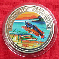 Malta SMOM 100 Lira 1999 Fish Marine Life Set - Malta (La Orden De)