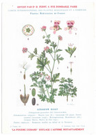 Plantes Médicinales 2 Planches Oranger Amer Géranium Publicité Exibard 1920 Très Bon état - Heilpflanzen