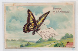 SCHMETTERLINGE / Butterflies / Papillon,  Präge-Karte / Embossed / Relief, 1903 - Mariposas