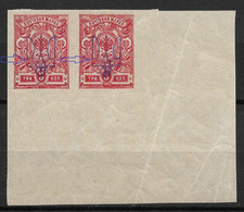 Russia/Ukraine 1918-19 Civil War, Kiev Type-2 RARE Vio Ink Two Trident Variety 3k CORNER Margin,VF MNH** (LTSK) - Ukraine & Westukraine