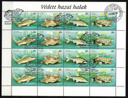 Hungary 1997. Animals / Fishes Nice Full Sheet, Used / Nice Cancelling! - Gebruikt