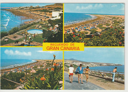 Gran Canaria - Gran Canaria